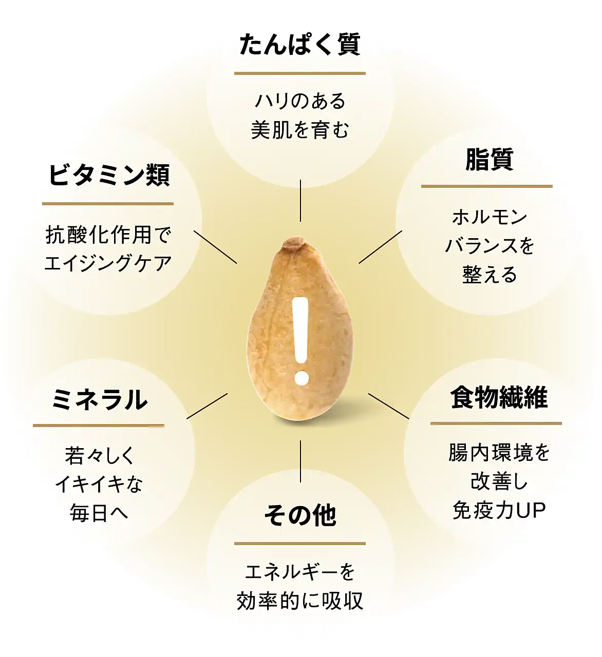 ごまの栄養説明図